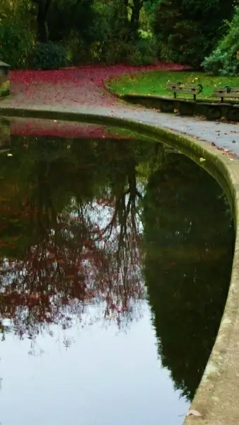 autumn water and bench 