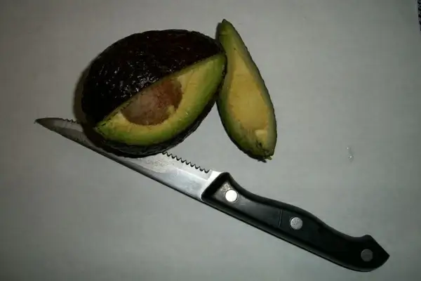 avocado