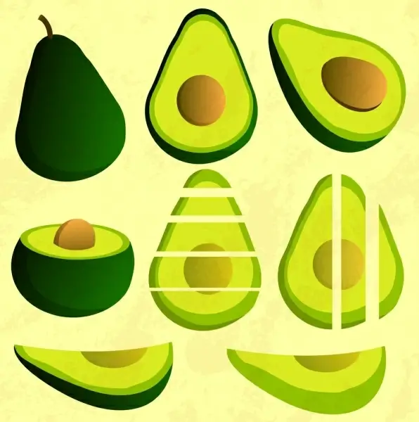 avocado icons various shapes green design