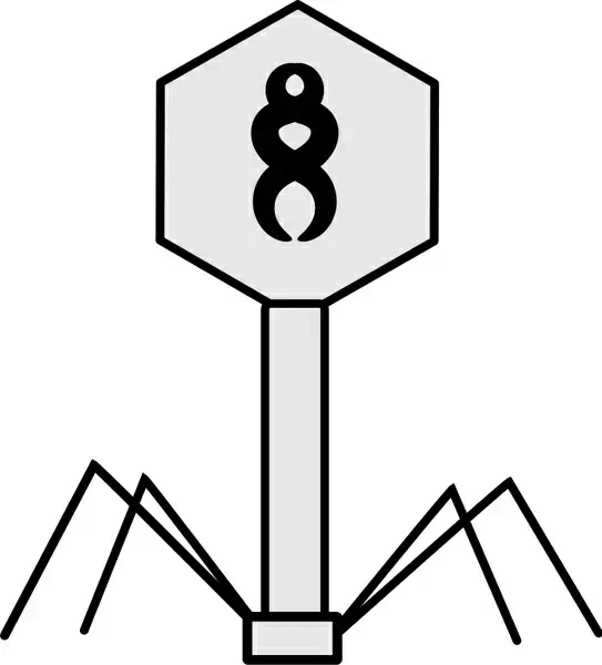 Bacteriophage