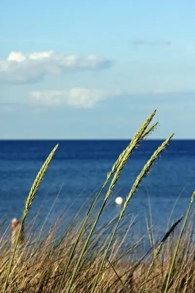baltic sea beach clouds