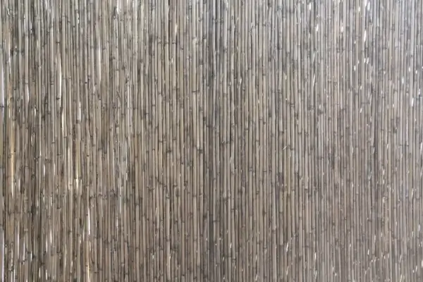 bamboo stick background