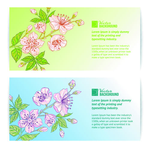 bamboo with flowers vector background