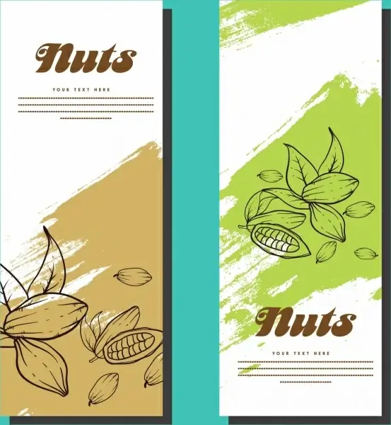 banner template sets nuts background hand drawn sketch