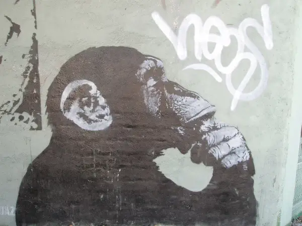 bansky monkey