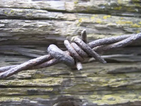 barb wire