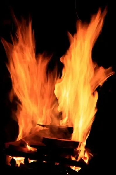 barbecue bbq fire