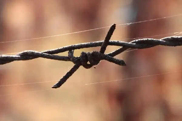 barbed close-up iron