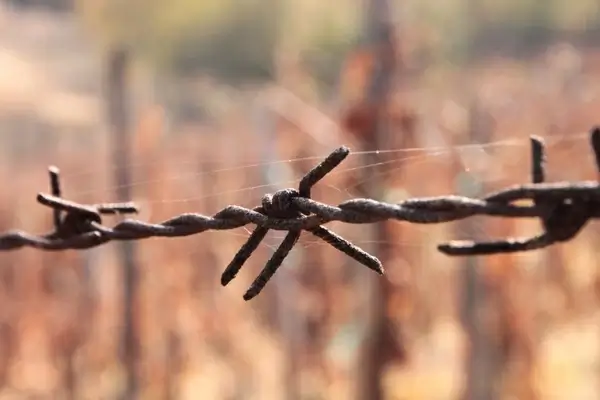 barbed close-up iron