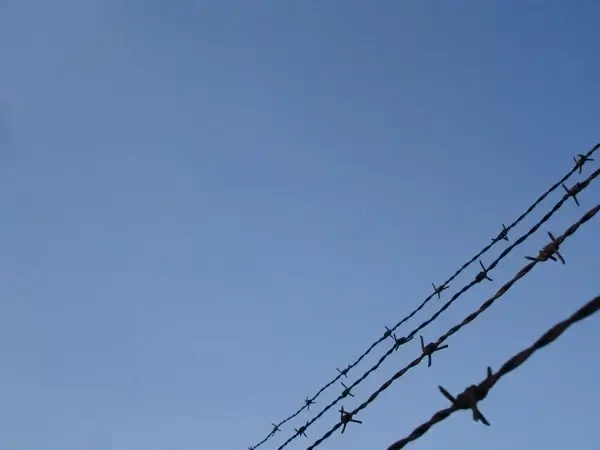 barbed wire