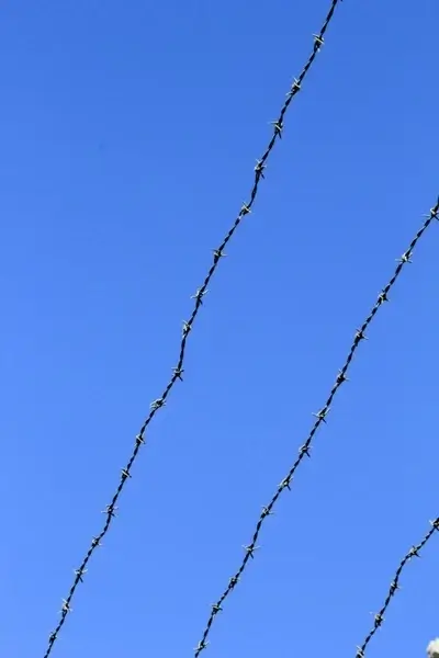 barbed wire