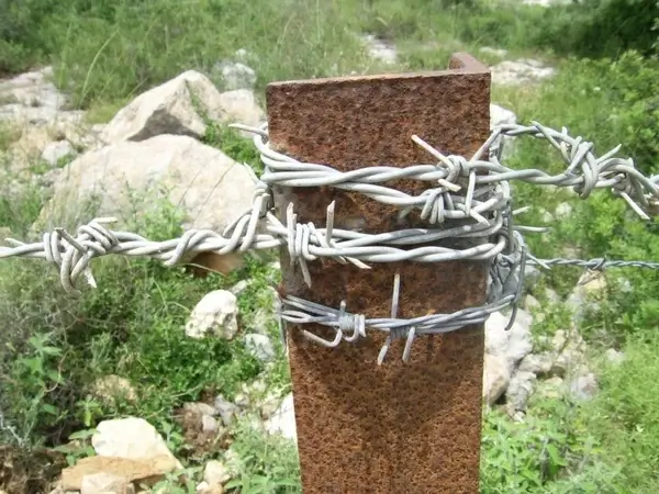 barbed wire