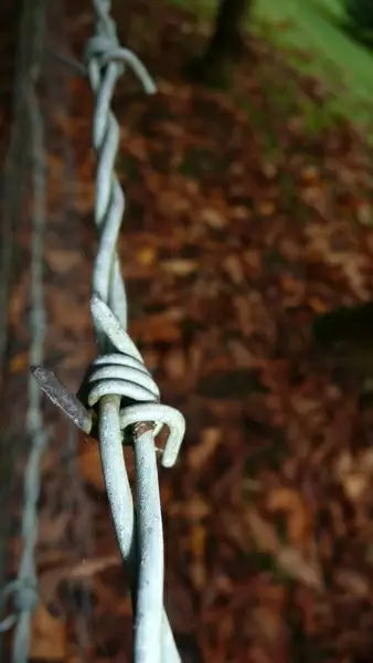 barbed wire