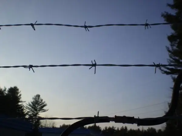 barbed wire