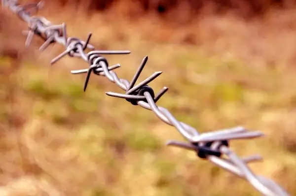 barbed wire