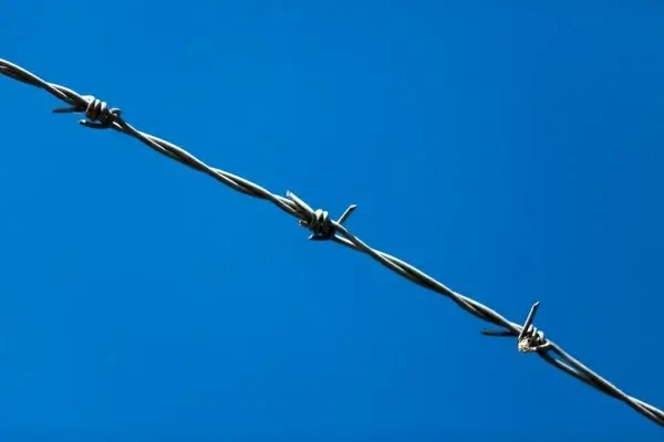 barbed wire
