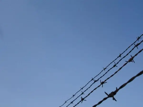 barbed wire protecting