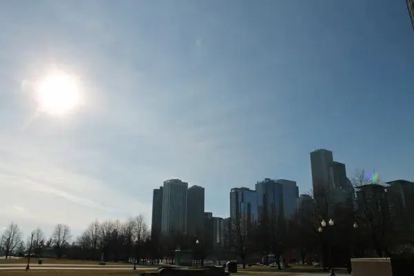 bare trees in front of city skyline