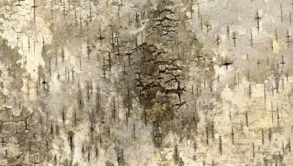 bark grunge texture background 