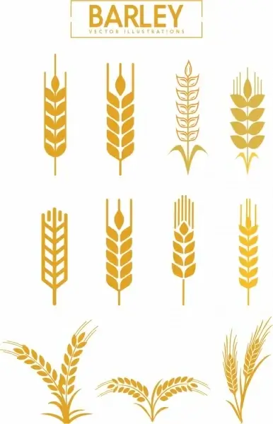 barley icons collection various brown flat shapes