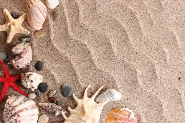 beach picture 03 hd pictures
