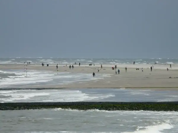 beach sea wind