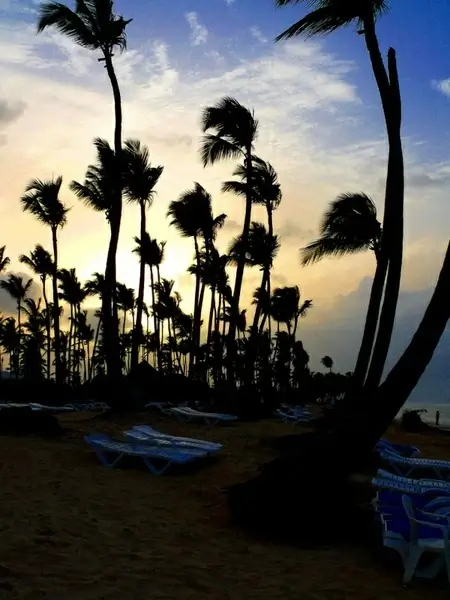 beach uvero alto