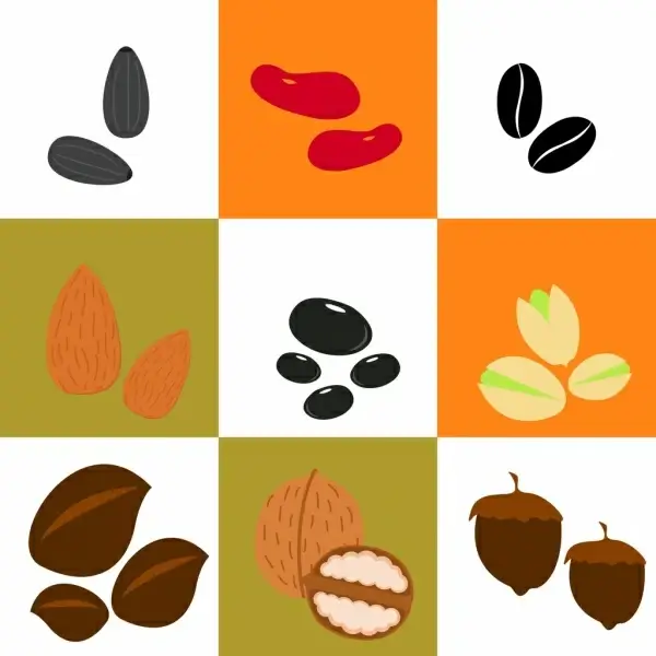 bean and nuts background various types isolation