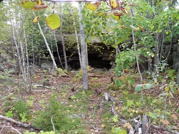 bear cave