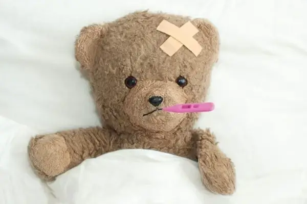 bear doll 01 hd pictures