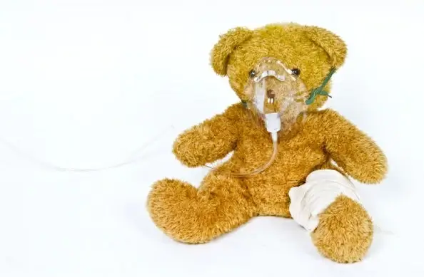 bear doll 02 hd pictures
