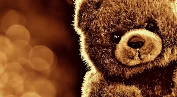 closeup of cute teddy bear on bokeh background