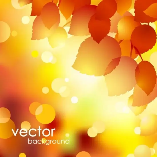 beautiful autumn background 01 vector