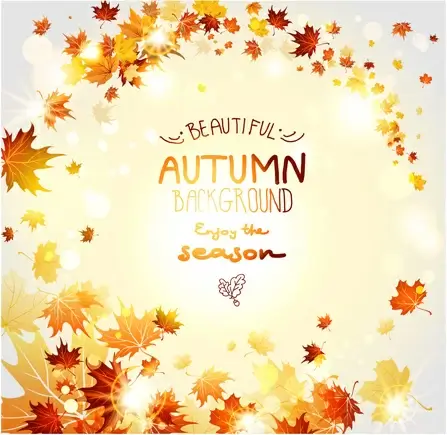 beautiful autumn leaves background creative vector