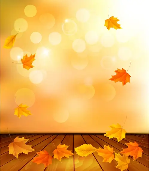 beautiful autumn leaves background vector