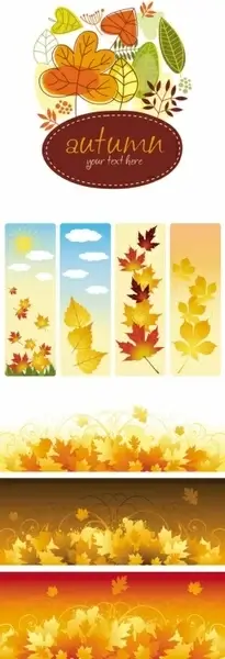 beautiful autumn leaves vector