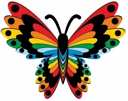 beautiful butterflies design vector 