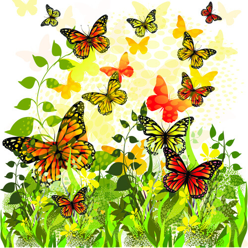 beautiful butterfly vector