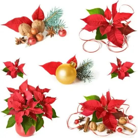 beautiful christmas decoration highdefinition picture