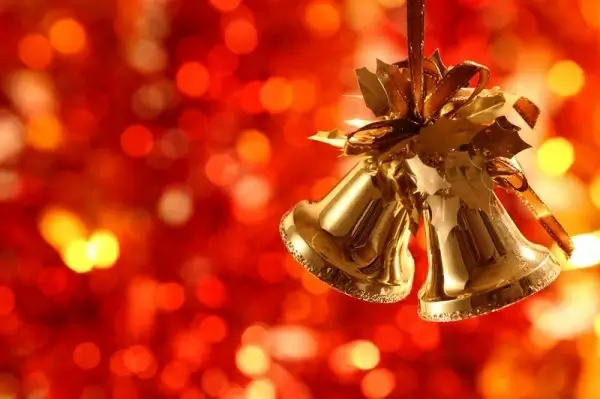 beautiful christmas design elements 67 hd picture