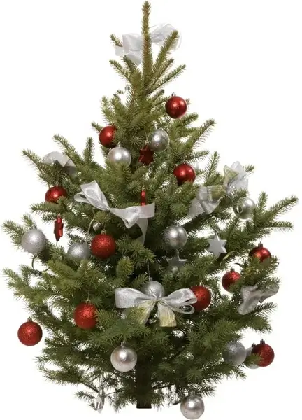 beautiful christmas tree 7 hd picture 