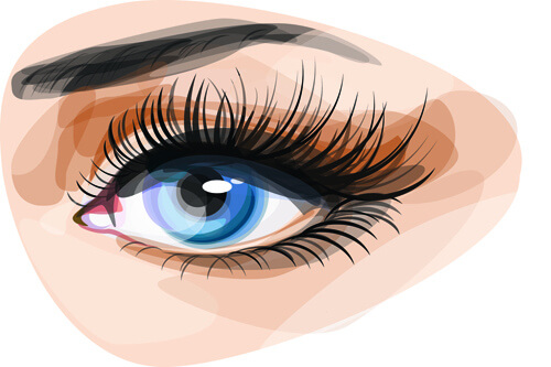 beautiful eyes vector graphic