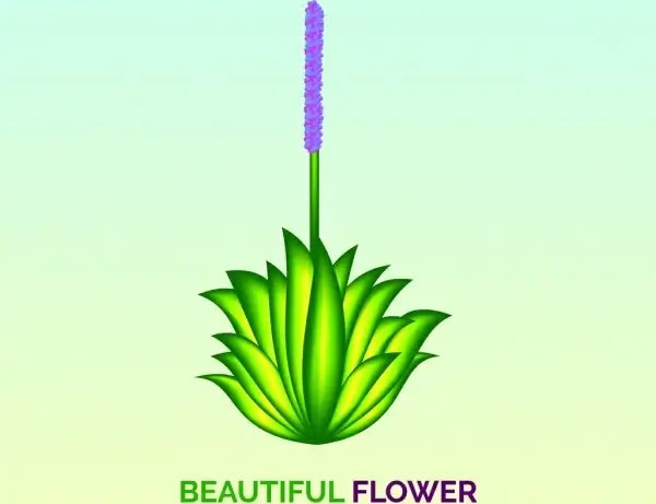 beautiful flower plant