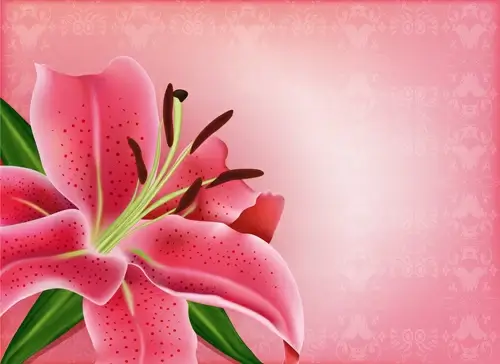 beautiful flower with pink backgrounds vector