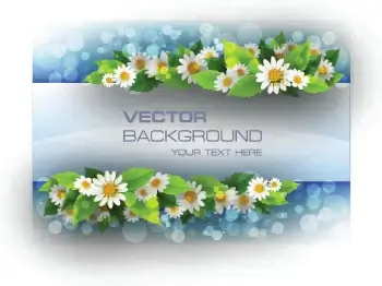 beautiful flowers frame backgrounds vector