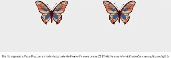 beautiful free vector butterfly
