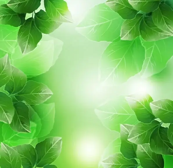 beautiful green leaves vector