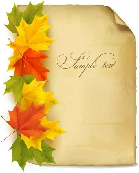 Beautiful maple leaf background vector001