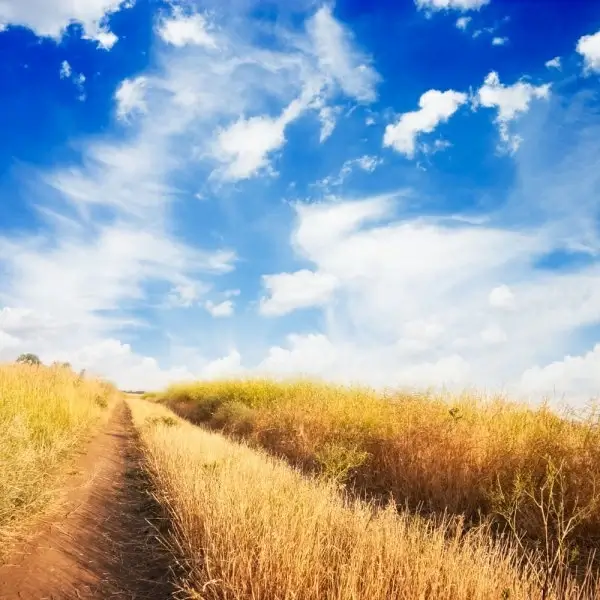 beautiful natural scenery 02 hd picture