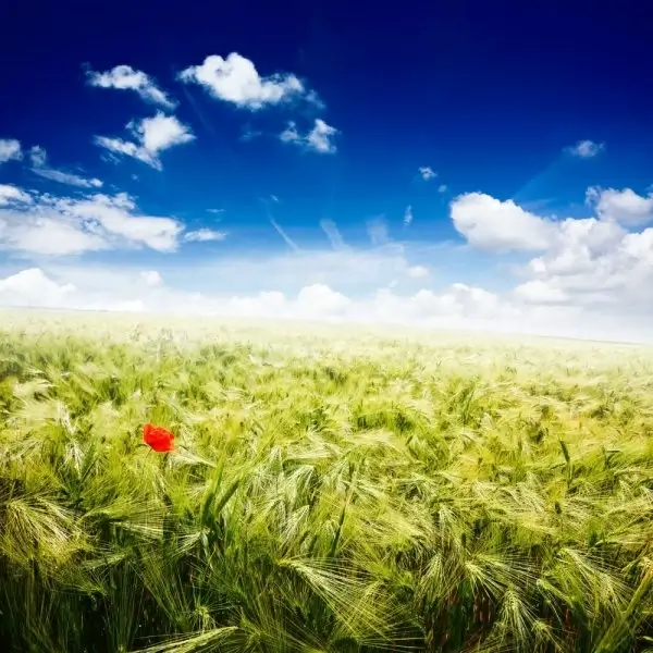 beautiful natural scenery 05 hd pictures